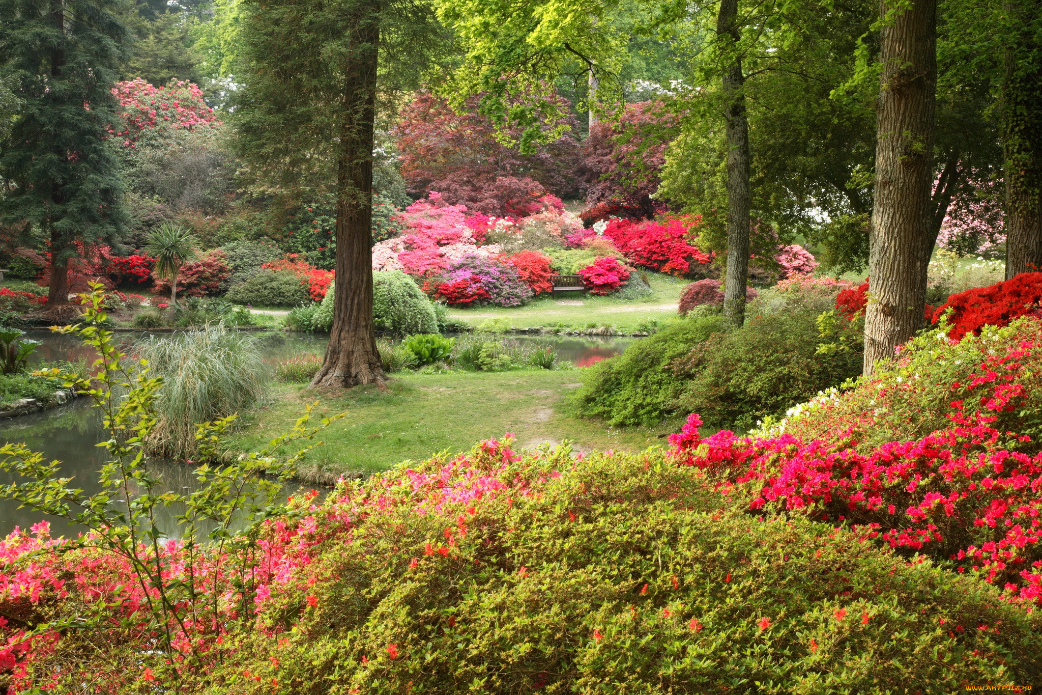 exbury gardens , , , , , , 